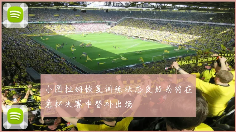 小图拉姆恢复训练状态良好或将在意杯决赛中替补出场